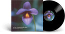 DJ Cam - Underground Vibes (30th Anniversary) (Aniv) [LP]