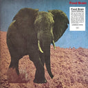 Food Brain - Social Gathering [LP]