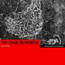 Dettmann, Marcel - My Own Shadow: Approaching [12" Vinyl]