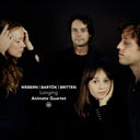 Animato Quartet - Longing [CD]