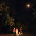 Ophelias - Spring Grove (Blue) [Colored Vinyl]