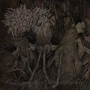 Bloodtied - Dismantling Neuroanatomy [CD]