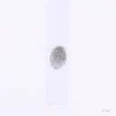 Tobias Jesso Jr. - S H I N E [White Colored Vinyl]