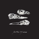 Jason Molina  / Mj Lenderman - Last Three Human Words (Demo) / Just Be Simple [7" Vinyl]