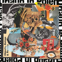 Urlaub In Polen - Objects Beings & Parrots [LP]