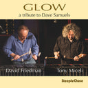 David Friedman - Glow [CD]