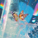 Daphni - Butterfly [CD]