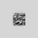 Pablo Bolivar  / Alexandra Savvidi - Other Stories [LP]