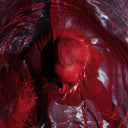Blackwater Holylight - Not Here Not Gone [Red]