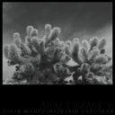 Derek Monypeny  / Corcoran,Kevin - Abacomancy [LP]