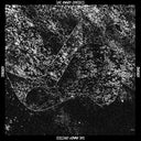Mary Onettes - Sworn [CD]