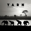 Yarn - Saturday Night Sermon [CD]