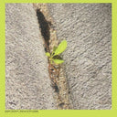 Booker Stardrum - Close-Up On The Outside [LP]