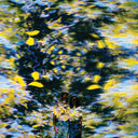 Pre-Order: Chaton Laveur - Labyrinthe [CD]