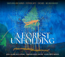 Rachel Calloway - Forest Unfolding [CD]