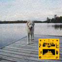 Jaguar Sun - Daisy [CD]