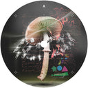 Move 2 The Groove [12" Vinyl]