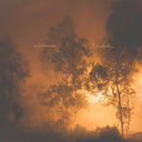 Blindfaller [LP]