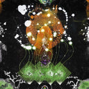 F Ampism - Vertical Luminous [LP]