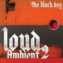 Black Dog - Loud Ambient 2 [LP]