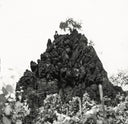 Winterswell [12" Vinyl]