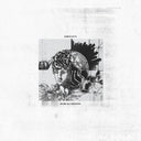 Amulets - Rema(I)Nders [LP]