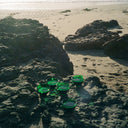 Physical Dream [LP]
