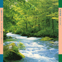 Shiho Yabuki - Alpha Wave Music [LP]