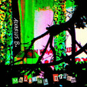 Malarial Dream [LP]