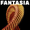SLIFT - Fantasia [Yellow]