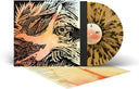 Focus - Yellow/Black [LP]