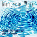 Sammy Figueroa - Memory Of Water: Sammy Figueroa Plays The Hangpan [CD]