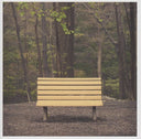 Streetlight Manifesto - Hands That Thieve [Colored Vinyl] [Reissue] [PRE-ORDER]