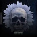 Dogtablet - Designed To Fade [CD]
