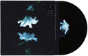 Wasia Project - Nocturne [LP]