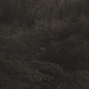 Pre-Order: Lesley Mok - Transient [Download Included]