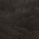 Pre-Order: Transient [Download Included]