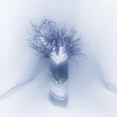 Pre-Order: Cd Ghost - When The Rain Stops (Ultra Clear Vinyl) [Clear Vinyl]