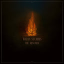 Wailin' Storms - Arsonist [LP] [PRE-ORDER]