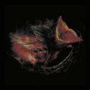 Pre-Order: Nobody's Coming To Save You [Black]