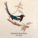 Pre-Order: Inflatable Dead Horse - Hello Magpie [CD]
