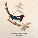 Hello Magpie [CD]