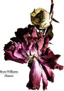 Pre-Order: Rozz Williams - Flowers [12" Vinyl]