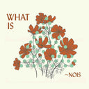 What Is Nois [CD]