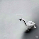 Pre-Order: Nature Boy [White]