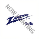 Pre-Order: Towa Tei - Zambient [Clear Vinyl] [180 Gram]