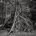 Pre-Order: Joseph Allred - Old Gods [LP]