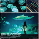 Pre-Order: Bring Me The Horizon - Count Your Blessings [LP]