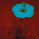 Pre-Order: John Beltran - Sunrise & the Way We Live [2LP]