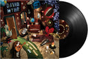 Pre-Order: David Myhr - Everything Is All About You [LP]